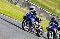 Oulton-Park-14th-March-2020;PJ-Motorsport-Photography-2020;anglesey;brands-hatch;cadwell-park;croft;donington-park;enduro-digital-images;event-digital-images;eventdigitalimages;mallory;no-limits;oulton-park;peter-wileman-photography;racing-digital-images;silverstone;snetterton;trackday-digital-images;trackday-photos;vmcc-banbury-run;welsh-2-day-enduro